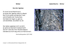 Drei-Spatzen-Morgenstern.pdf